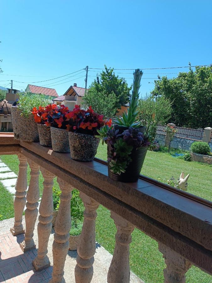 شقة Calm Nest Nikšić المظهر الخارجي الصورة