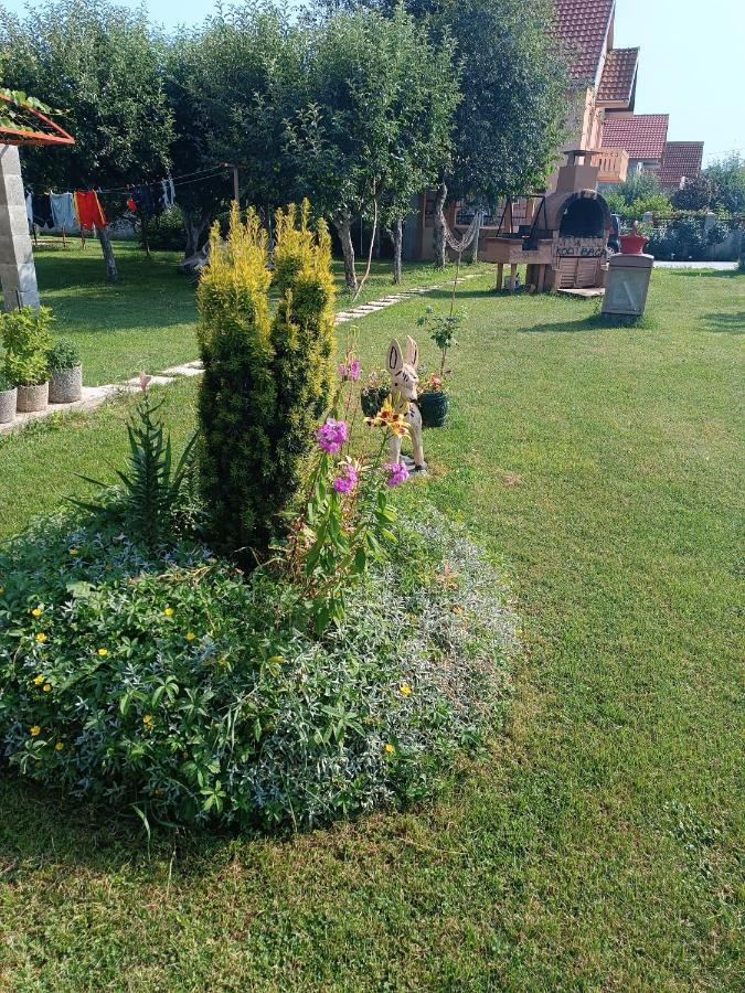 شقة Calm Nest Nikšić المظهر الخارجي الصورة