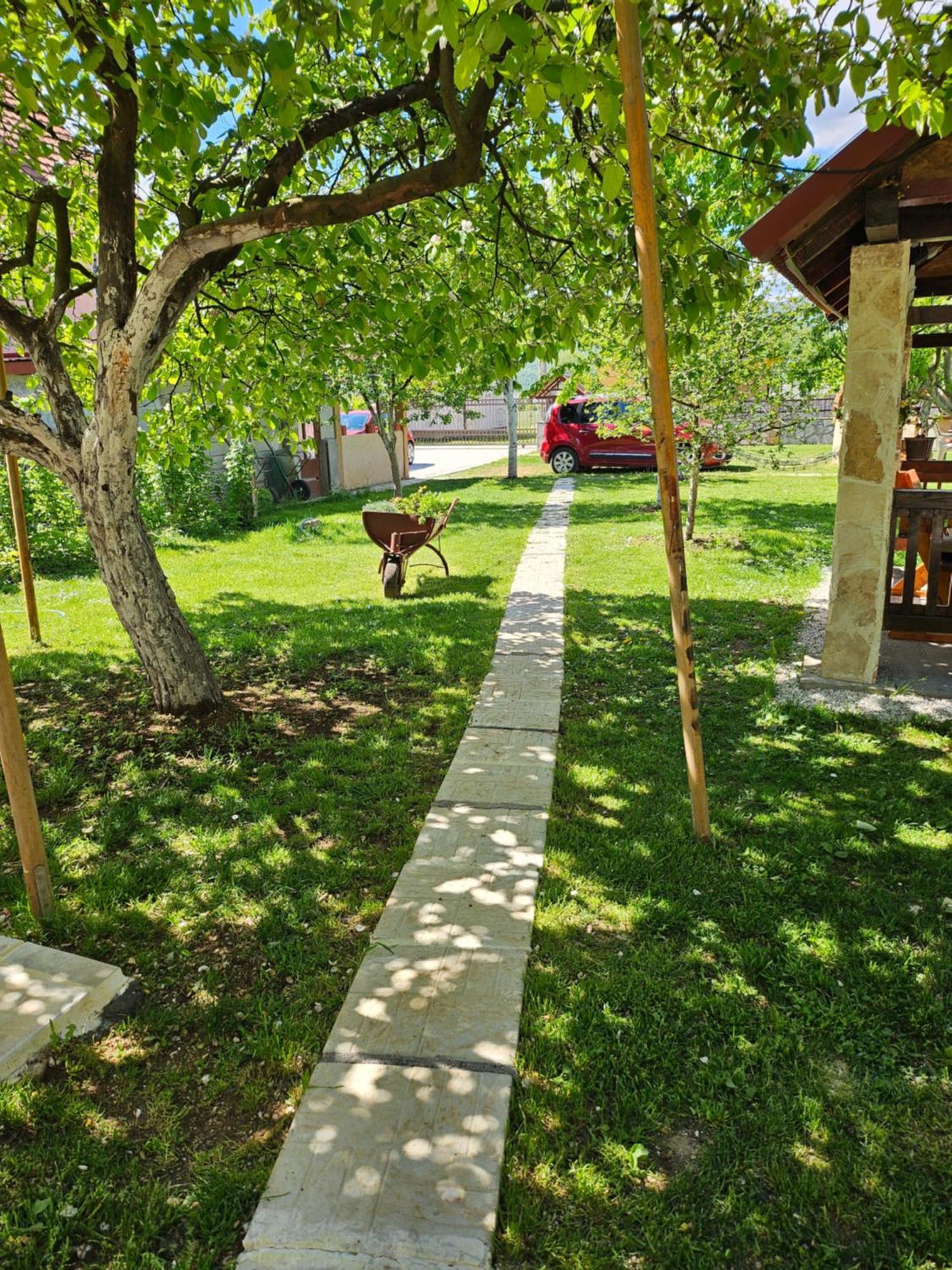 شقة Calm Nest Nikšić المظهر الخارجي الصورة